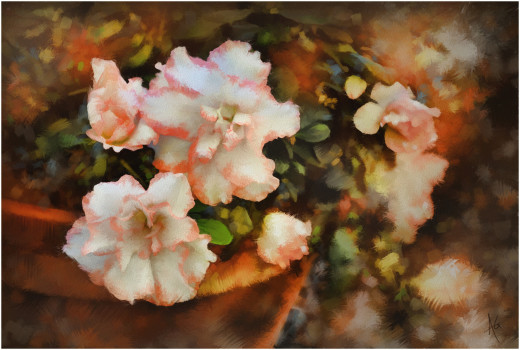 794011 (a): :4030x2712